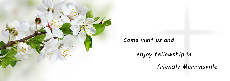 Knox Presbyterian Church Morrinsville