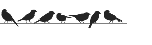 Knox Church Morrinsville - Contact Us